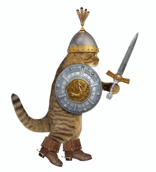 Cat Knight Helmet Feathers Holds Sword Shield Coat Arms Walking — Stock Photo, Image