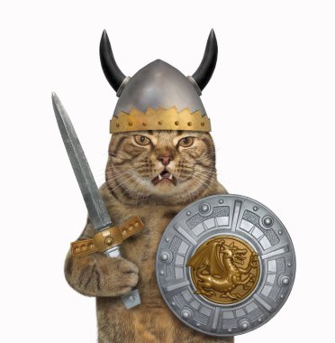 Kedi bir kılıç ve bir ejderha görüntü ile bir yuvarlak kalkan viking boynuzları olan bir kask içinde tutar. Beyaz arka plan.