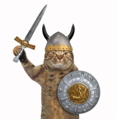 Kedi bir kılıç ve bir ejderha görüntü ile bir yuvarlak kalkan viking boynuzları olan bir kask içinde tutar. Beyaz arka plan.