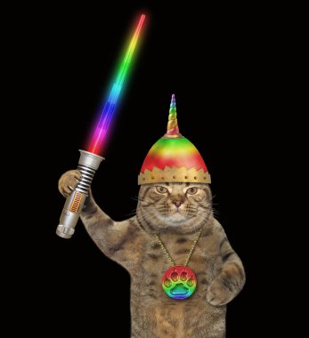 Kedi savaşçı bir kask ile gökkuşağı boynuz ve bir madalyon içinde hafif bir kılıç tutan. Siyah arka plan.