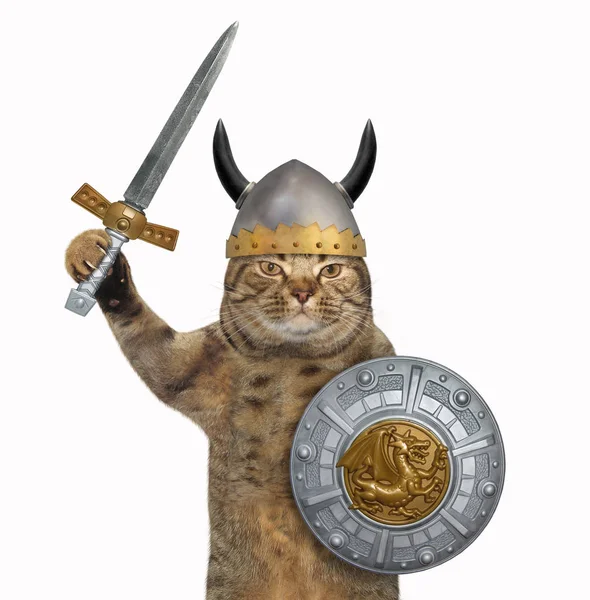 Katten Viking Hjälm Med Horn Som Håller Ett Svärd Och — Stockfoto