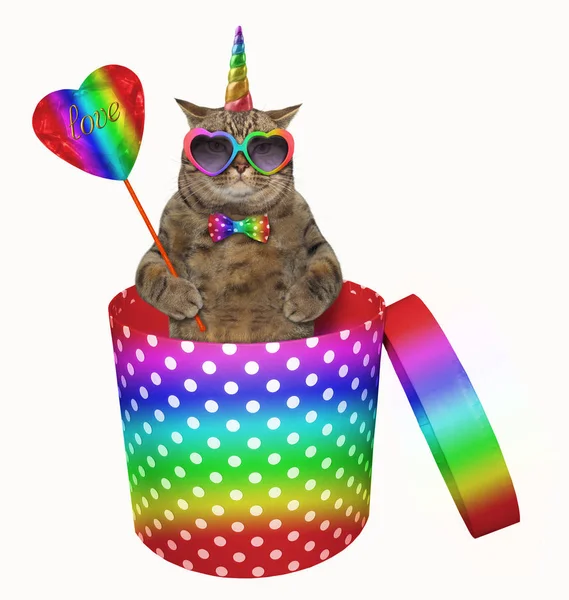 The cat unicorn in rainbow sunglasses and a bow tie with a crystal heart on a stick is inside a cylindrical polka-dot gift box. White background.