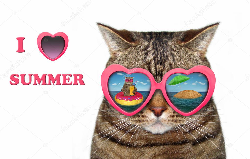 The cool cat wears heart shaped sunglasses. There is  funny reflection in them. I love summer. White background.