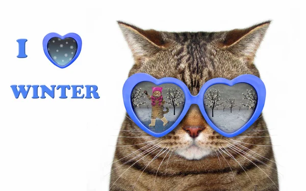 The cool cat wears heart shaped sun glasses. They have a skater\'s reflection. I love winter. White background.