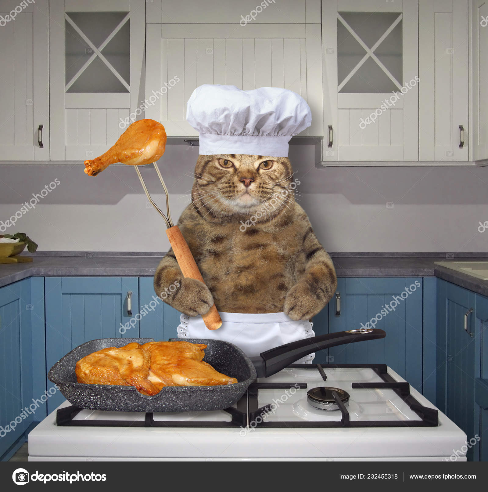 Cat Chef Frying Chicken Square Grill Pan Gas Stove Kitchen — Stock