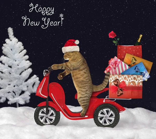 Katten Hatten Jultomten Rider Moped Med Jul Gåva Påsar Skogen — Stockfoto