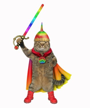Kedi savaşçı bir renk pelerin, knight's kask ve çizmeleri giymiş. Parlayan kılıç ile silahlı. Beyaz arka plan.
