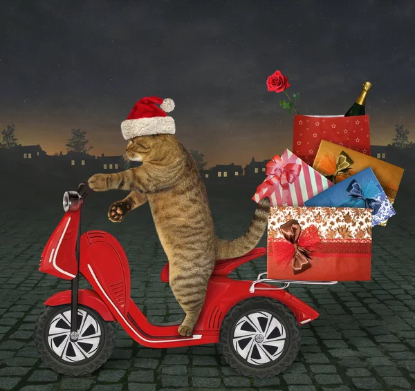 Die Katze Weihnachtsmann Hut Liefert Nachts Weihnachtsgeschenke Auf Einem Moped — Stockfoto