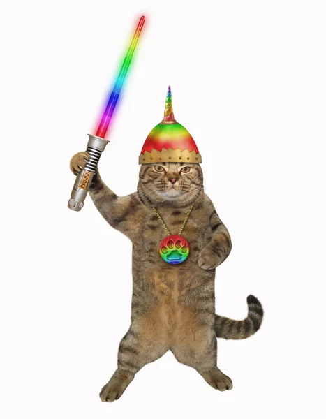 Kedi Savaşçı Bir Şövalye Kask Özgün Madalyon Vardır Parlayan Kılıç — Stok fotoğraf