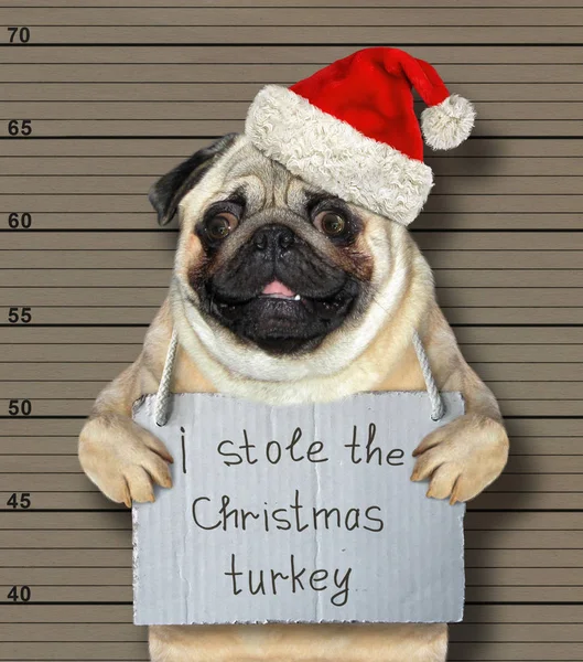 The bad dog in a red hat stole the Christmas turkey. He arrested by the police for this crime and sent to prison. Lineup background.