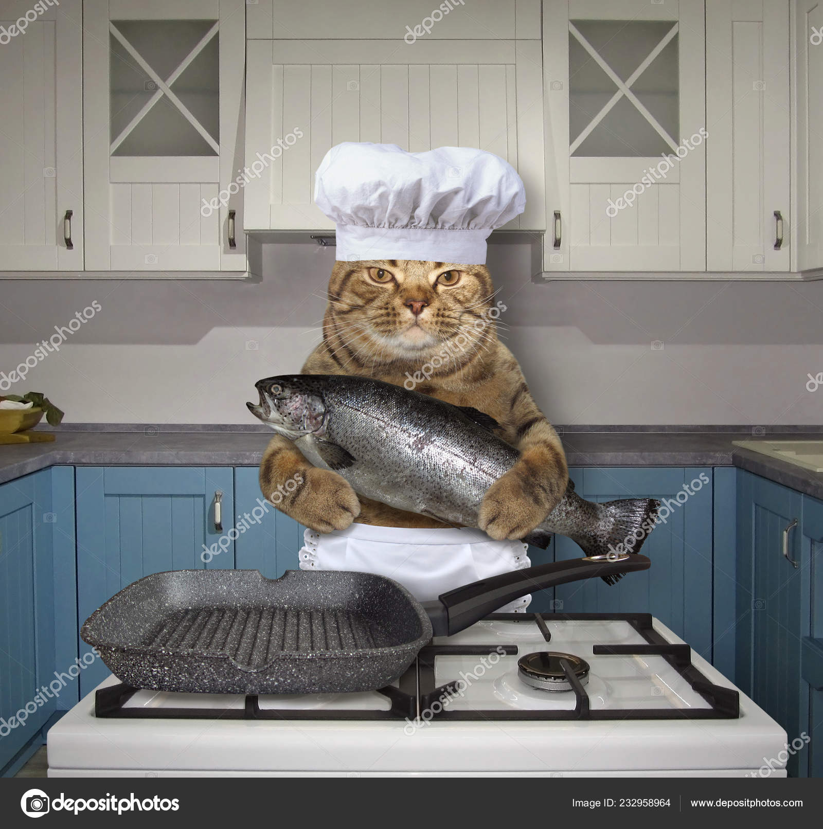 Cat Chef Frying Whole Fish Square Grill Pan Gas Stove — Stock