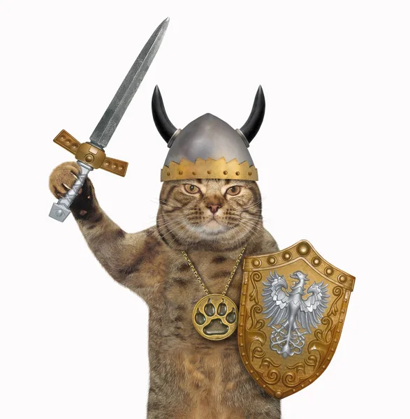 Cat Viking Medallion Helmet Horns Holds Sword Shield Dragon Image — Stock Photo, Image