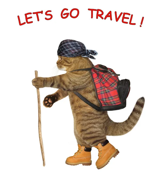 The cat tourist with a backpack and a stick is hiking. Let\'s go travel. White background.