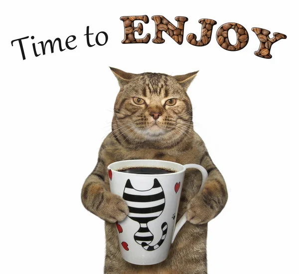 Kedi Siyah Kahve Içmek Için Gidiyor Zaman Zevk Beyaz Arka — Stok fotoğraf