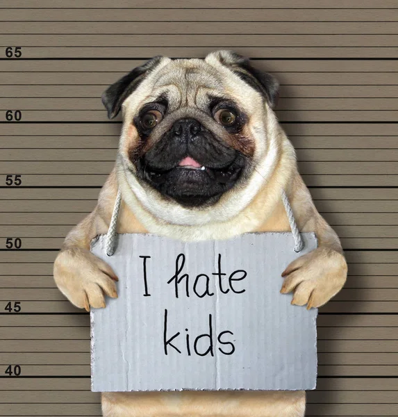 Der Böse Hund Hasst Kinder Wurde Wegen Dieses Verbrechens Von — Stockfoto