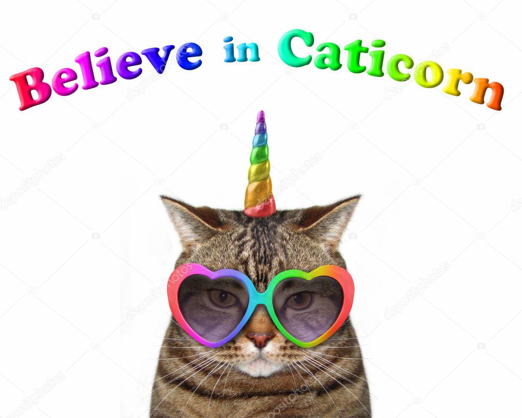 The cat unicorn wears color heart shaped sunglasses. Believe in caticorn. White background.