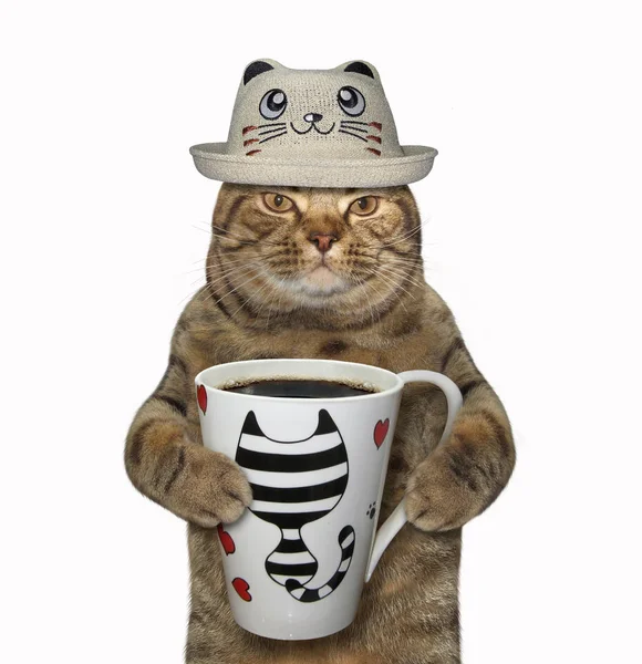 Katten Rolig Hatt Kommer Att Dricka Kopp Svart Kaffe Vit — Stockfoto