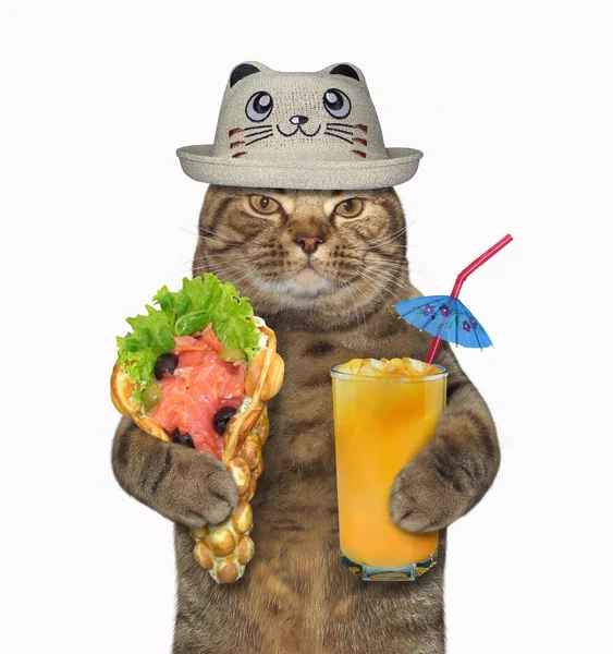 Katten Rolig Hatt Håller Ett Glas Apelsinjuice Och Mjuka Våfflor — Stockfoto