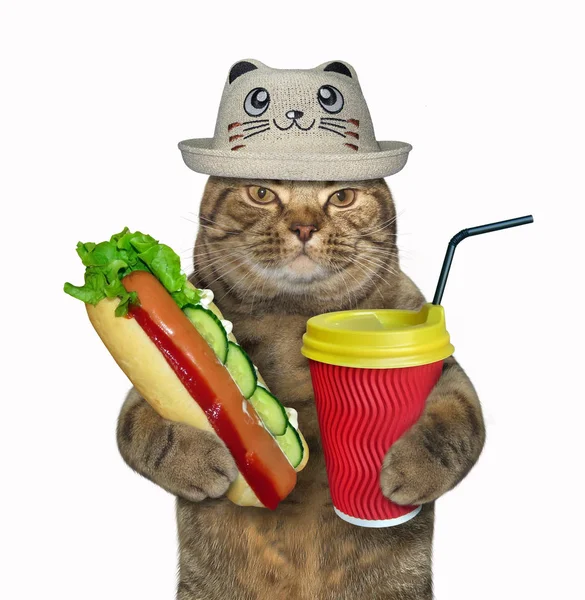 戴着滑稽帽子的猫拿着一个热狗和一杯塑料咖啡 白色背景 — 图库照片