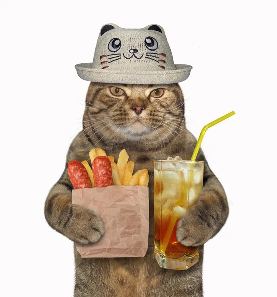 Gato Chapéu Engraçado Mantém Copo Suco Frutas Saco Papel Salsichas — Fotografia de Stock