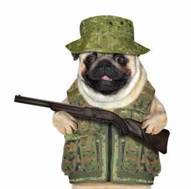 Köpek askeri üniformalı bir silah düzenliyor. Beyaz arka plan.