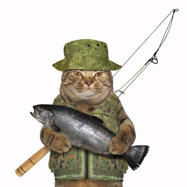 Kedi fisher üniformalı büyük bir balık tutuyor. Beyaz arka plan.