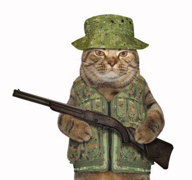 Askeri üniformalı kedi ranger bir silah düzenliyor. Beyaz arka plan.