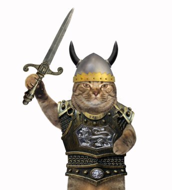 Kedi şövalye bir kask ve bir cuirass bir kılıç tutan. Beyaz arka plan.