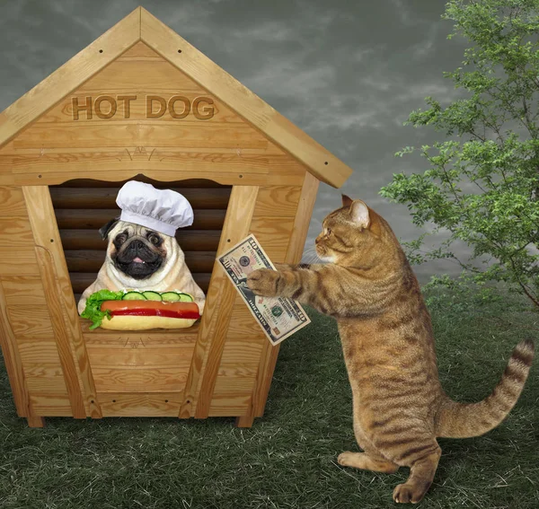 The dog in a chef hat sells hot dogs from a small wooden booth. The cat buys one.