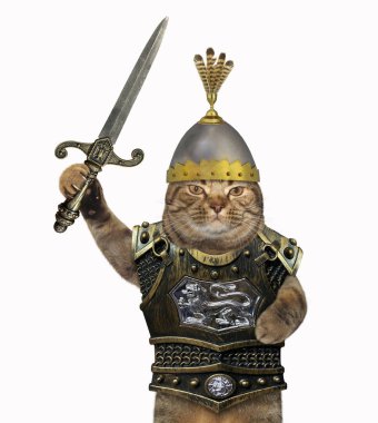 Kedi şövalye bir kask ile bir tüy ve bir cuirass içinde bir kılıç tutan. Beyaz arka plan.