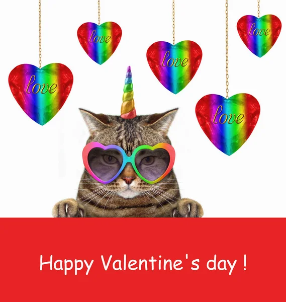 The cat unicorn in funny sunglasses is sitting next to color shiny hearts hanging on gold plated chains. Happy Valentine's Day.