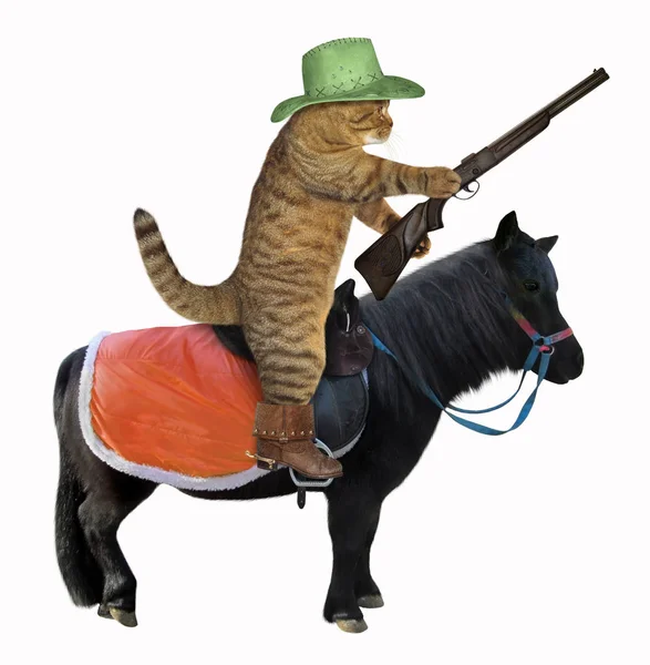 戴着绿色帽子 带着枪的靴子的猫护林员骑着一匹黑马 白色背景 — 图库照片