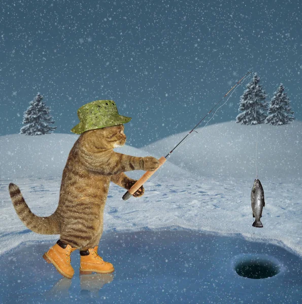 Кіт Зеленому Капелюсі Чоботи Взимку Ловлять Льоду Замерзлого Озера Лісі — стокове фото