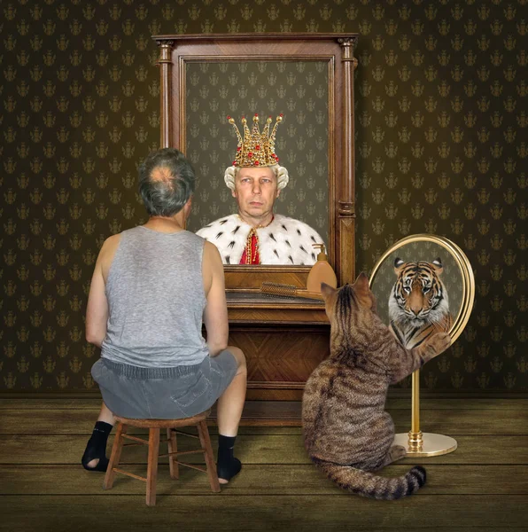 椅子上那个秃顶的人和他的大猫看着家里不同镜子里的搞笑倒影 — 图库照片