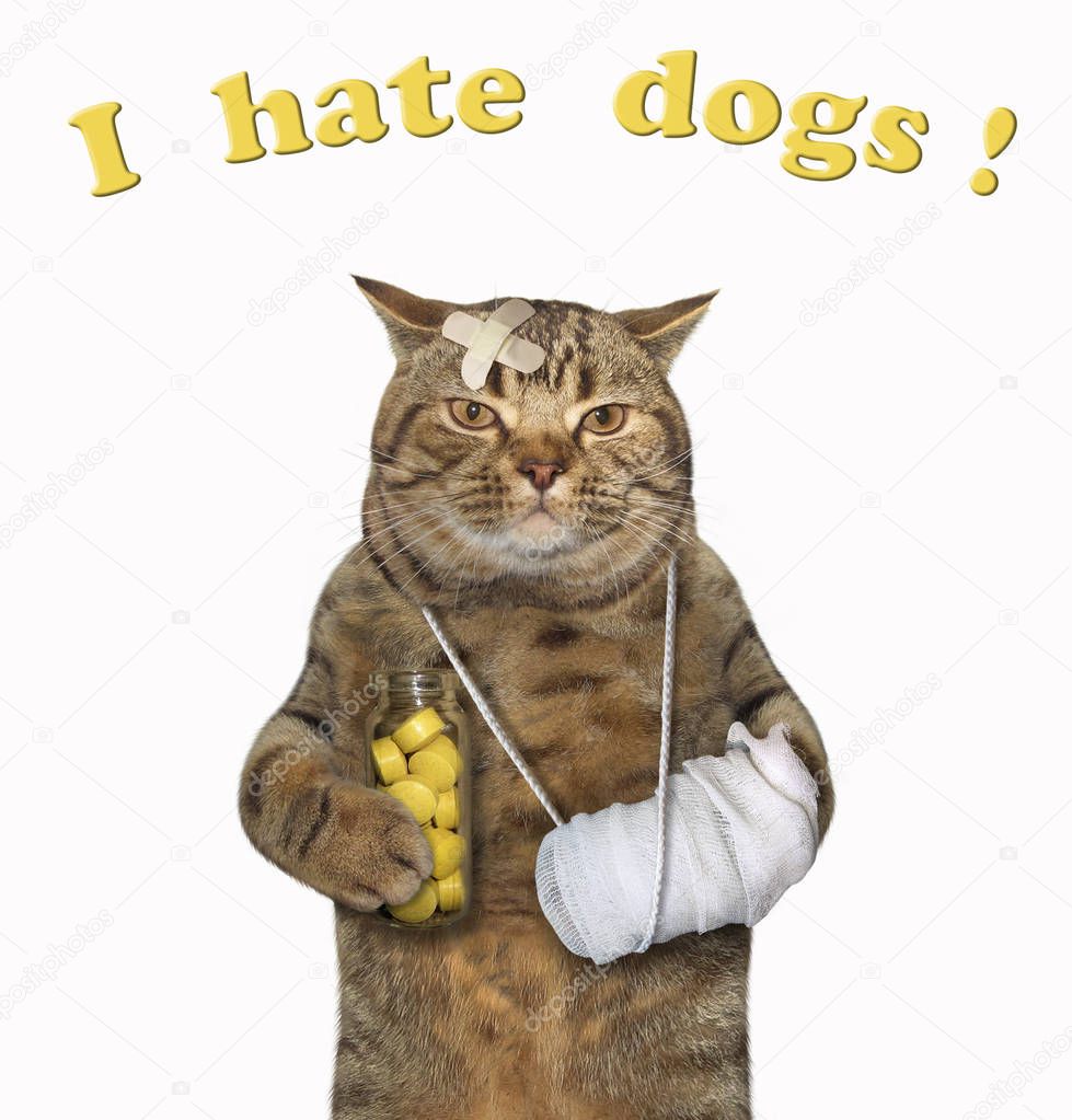 The cat with the bandaged paw and a broken head holds a bottle of yellow pills. I hate dogs. White background.