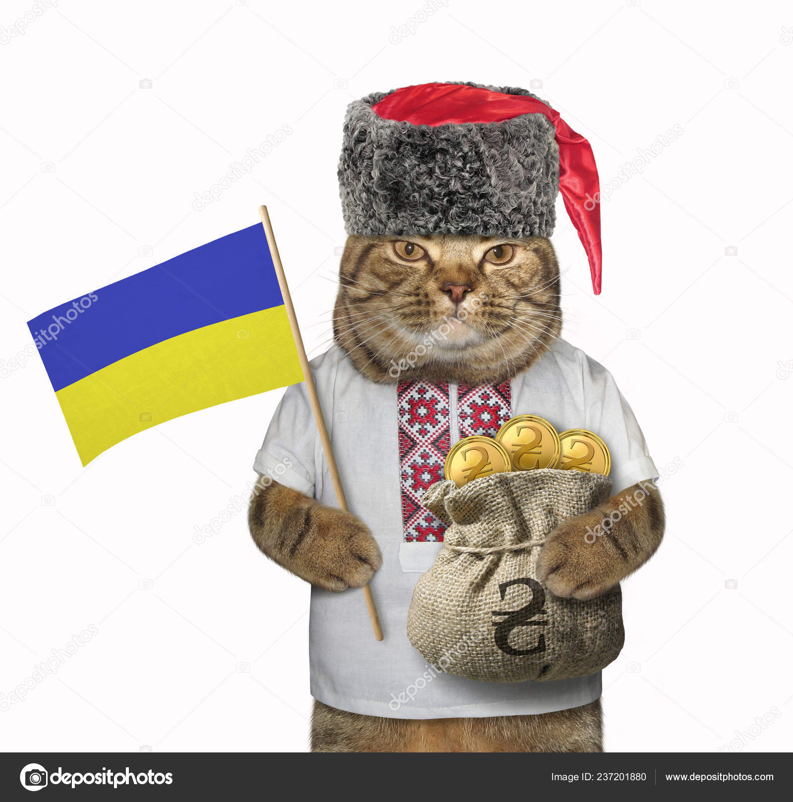 Die Katze Patriot Mit Kosakenmütze Hält Eine Ukrainische Flagge