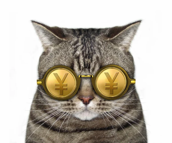 Kat Een Gouden Japanse Yen Bril Witte Achtergrond — Stockfoto