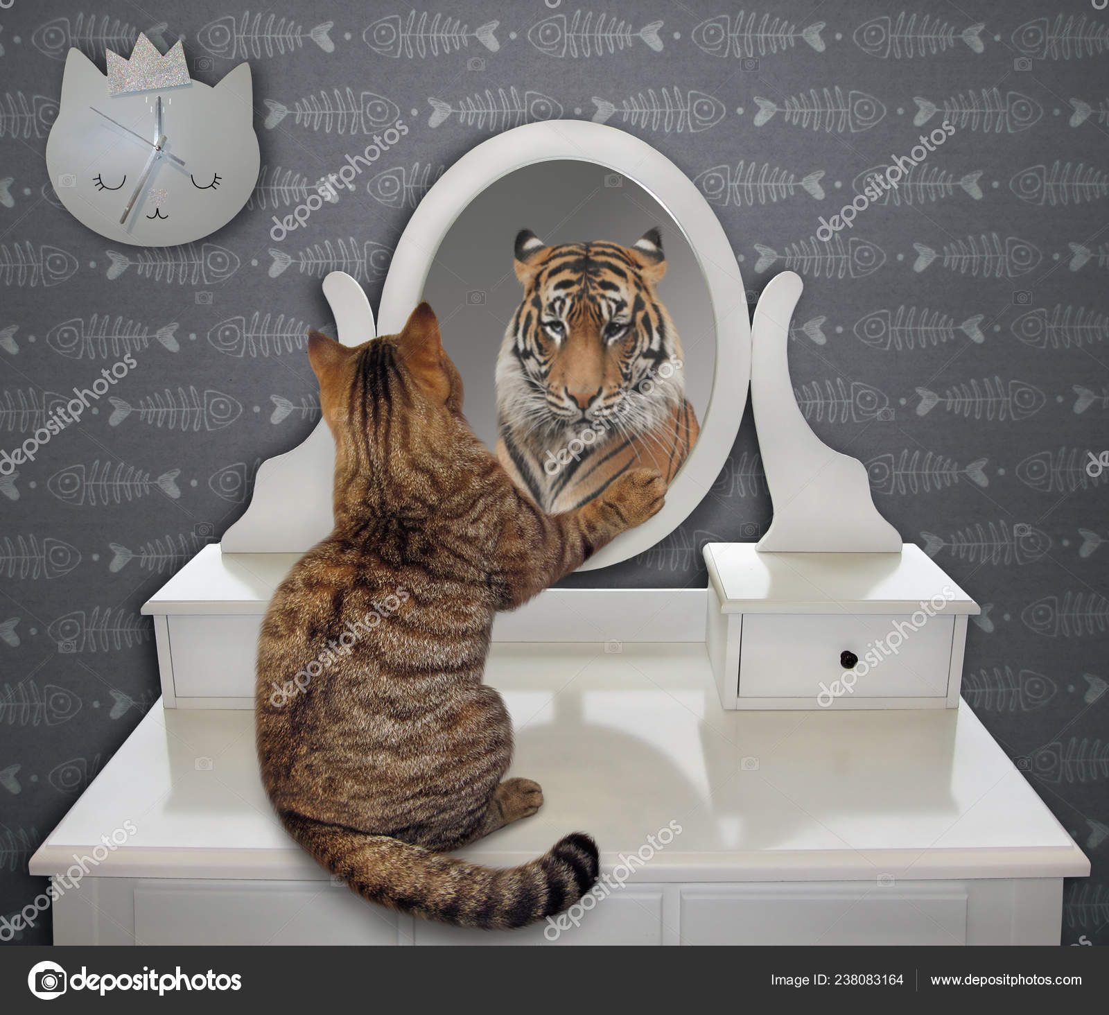 Photos De Lion Chat Miroir Images De Lion Chat Miroir Depositphotos Photos De Lion Chat Miroir Images De Lion Chat Miroir Depositphotos