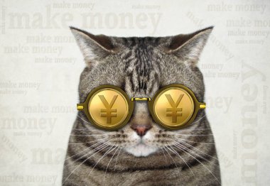 Kedi altın Japonca yen gözlük takıyor. Para kazanmak. Metin arka plan.