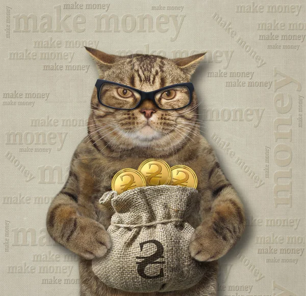 The cat in glasses holds a sack of gold ukrainian hryvnia. Make money. Text background.