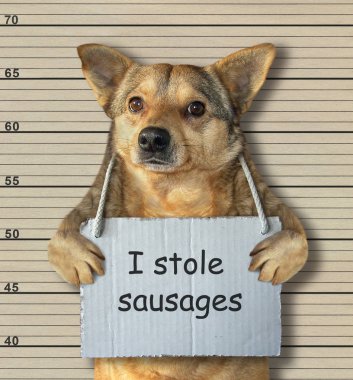 Kötü köpek biraz sosis çaldı. Bunun için tutuklandı. Sanatçısını arka plan.