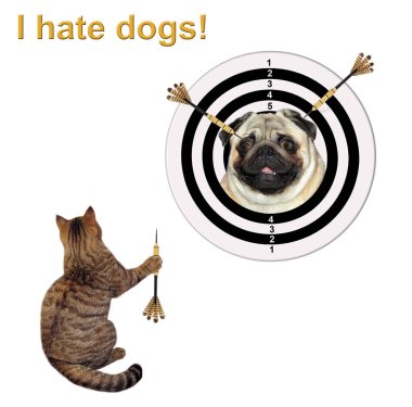 Sevimli kedi hedefte atmak bir dart yapar. Köpeklerden nefret ederim. Beyaz arka plan.
