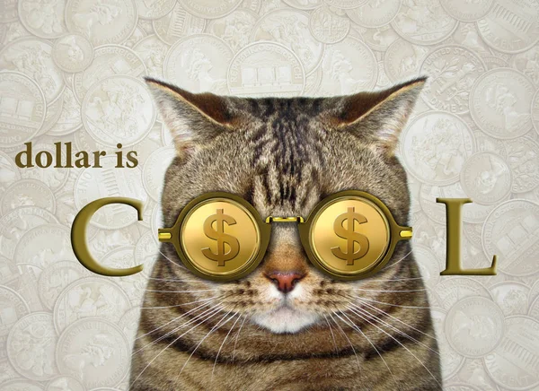 The cat is wearing cool american gold dollar glasses. Money background.