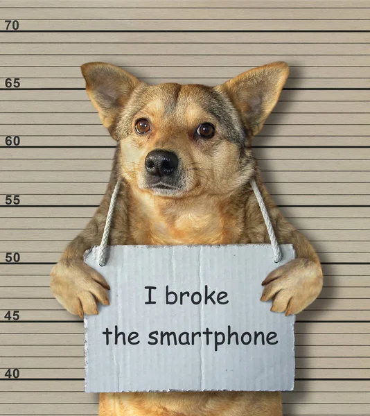 Bad Dog Broke Smartphone Arrested Police Crime Sent Prison Lineup — ストック写真