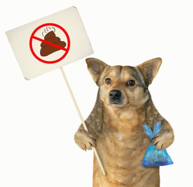The mongrel dog is holding a plastic bag and a sign no dog pooping . Isolated. White background.