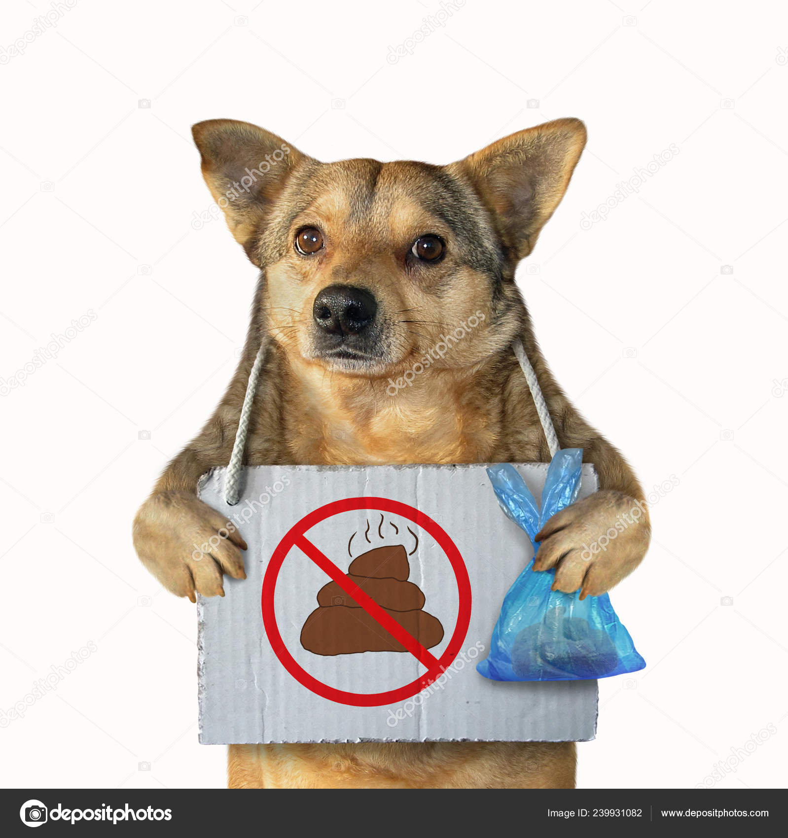 Can A Dog Hold Its Poop