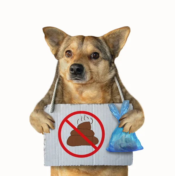Mongrel Dog Plastic Bag Poster Dog Pooping Hanging Its Neck — Stock Photo, Image