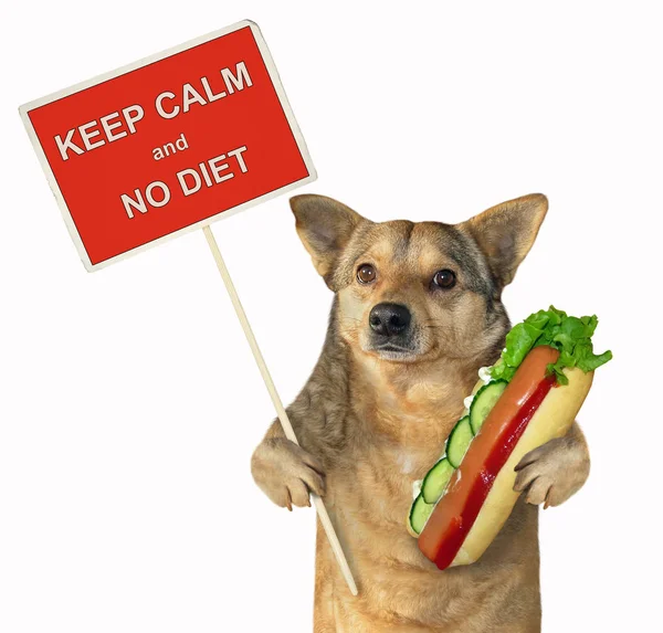 Bastaard Hond Heeft Een Grote Hot Dog Een Poster Houden — Stockfoto