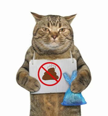 Bir plastik torba ve bir poster ile kedi köpek onun boynuna asılı kaka yok. İzole. 