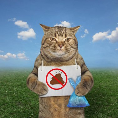 Bir plastik torba ve bir poster ile onun boynuna asılı kaka köpek parkta çim kedidir. İzole. 